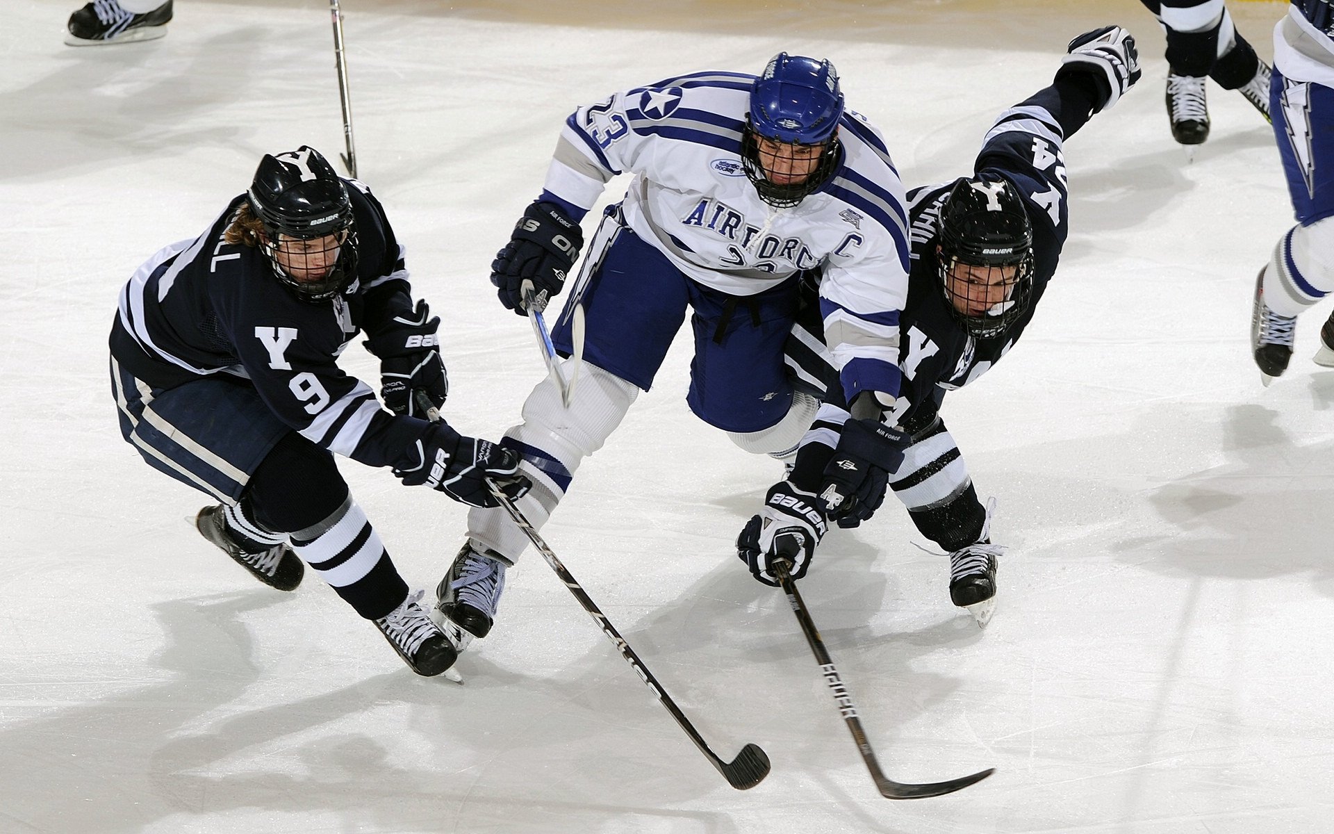 德甲“榜首厮杀”_拜仁连续追赶多特