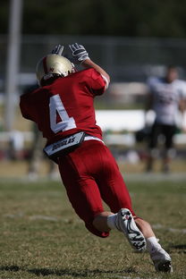 米兰体育登录入口官网-中超球队年度替补球员战术执行效率统计，中超替补年薪